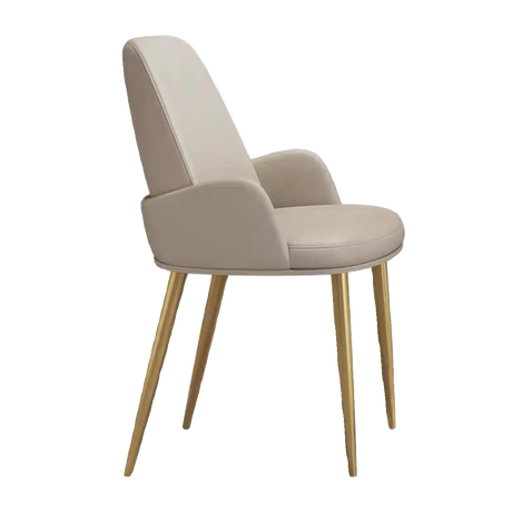 Luxury Dining Chairs Nordic Designer Kitchen Office Design Chair Kids Modern Accent Chaises Salle Manger Restaurant Furiture