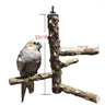 Pet Parrot Bird Standing Stick Wood Pole Bird Cockatiel Parakeet Perches Bite Claw Grinding Toy Bird Cage Accessories