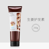 Ginger Shampoo Herbal Professional Anti-hair Loss Itching Dandruff Oil-Control Refreshing Nourishing Hair Care Shampoo 샴푸