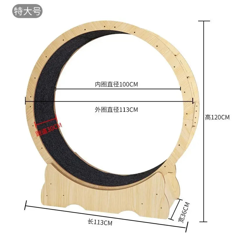 Interactive Cat Running Wheel for Indoor Exercise and Fun Training