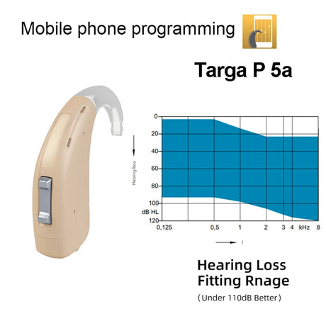 Rexton Siemens Targa 5A Mobil Programmable Original 120db Severe Deaf High Power 8-Channel Targa HP 5 Hearing Aids for Deafness