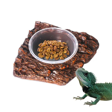 Reptile Water Bowl Resin Reptile Food Dish Bearded Dragon Bowl Dragon Bearded Bowl Reptile Bowls Terrarium Feeding Worm Dish