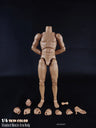 COOMODEL 1/6 Standard Muscle Male Soldier Body MB001 MB002 MB003 BD001 BD002 BD003 BD004 25/27CM Military Action Figure Doll