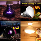 UVA Heating Lamp, Heating Bulb, Pet Heater, Adjustable Habitat Basking Heat Lamp, Winter Sun Back Light, Reptile Light ,E27