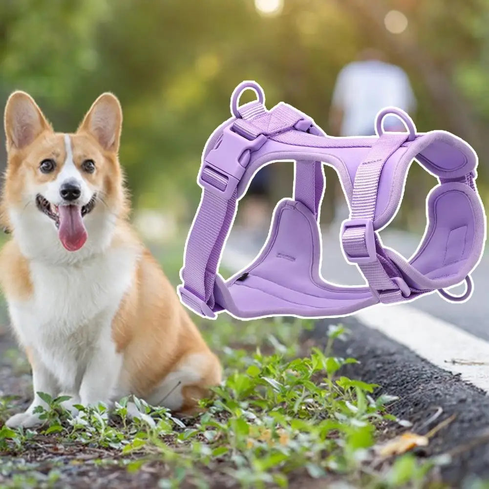 Chest Harness Leash Micro Elastic Easy to Clean Breathable Tensile Comfortable Anti-bite Space Cotton Dog Training Collar Leash