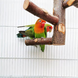 Pet Parrot Bird Standing Stick Wood Pole Bird Cockatiel Parakeet Perches Bite Claw Grinding Toy Bird Cage Accessories