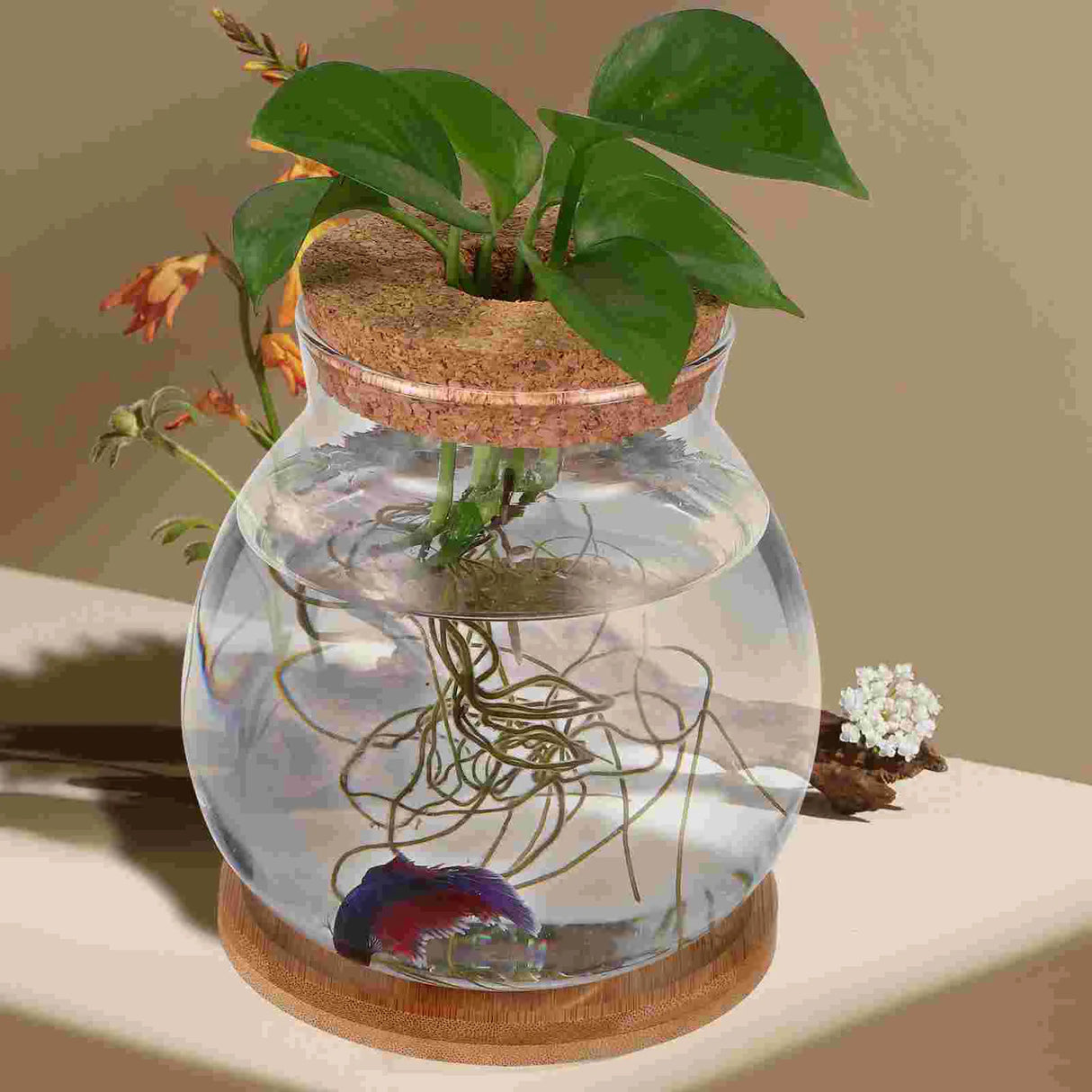 Glass Fish Bowl Lid Small Betta Tank Terrarium Mini Aquarium Coffee Table Terrariums Plants Desktop