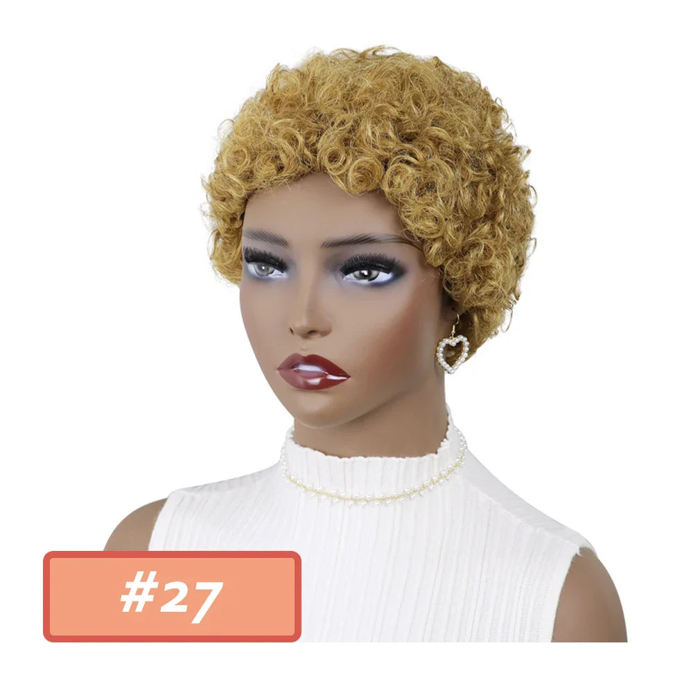 Kinky Curly Wigs Short Wigs for Black Women Human Hair Brazilian Curly Human Hair Wigs Full Machine Made Pixie Cut Wig Glueless