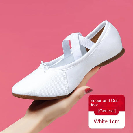 Adult Jazz Ballroom Canvas Dance Shoes Women Teacher Soft Sole Latin Modern Dance National Shoes Standard Practice Free Shipping