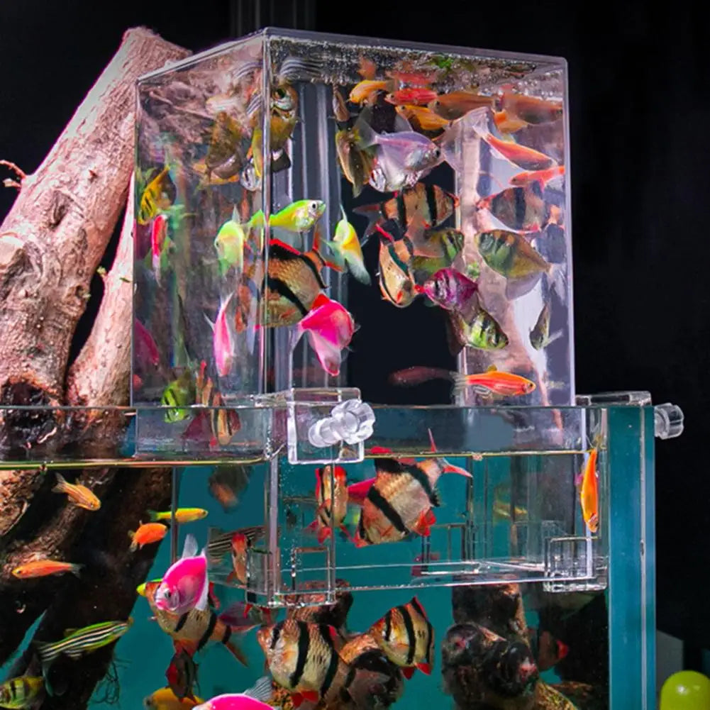 Negative Pressure Fish Tank Suspended Fish Elevator Fish Tank Water Level Maintenance Increase Fish Activity Area Aquarium Decor