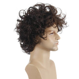 Brown Curly Wig for Men Short Synthetic Hair Wigs for Handsome Guys Natural Hairstyles  Male Afro Wave Haircuts Party Wig