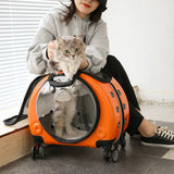 Pet Luggage Backpack Outdoor Large Capacity Breathable Portable Aviation Suitcase Folding Cats Cat Carrier