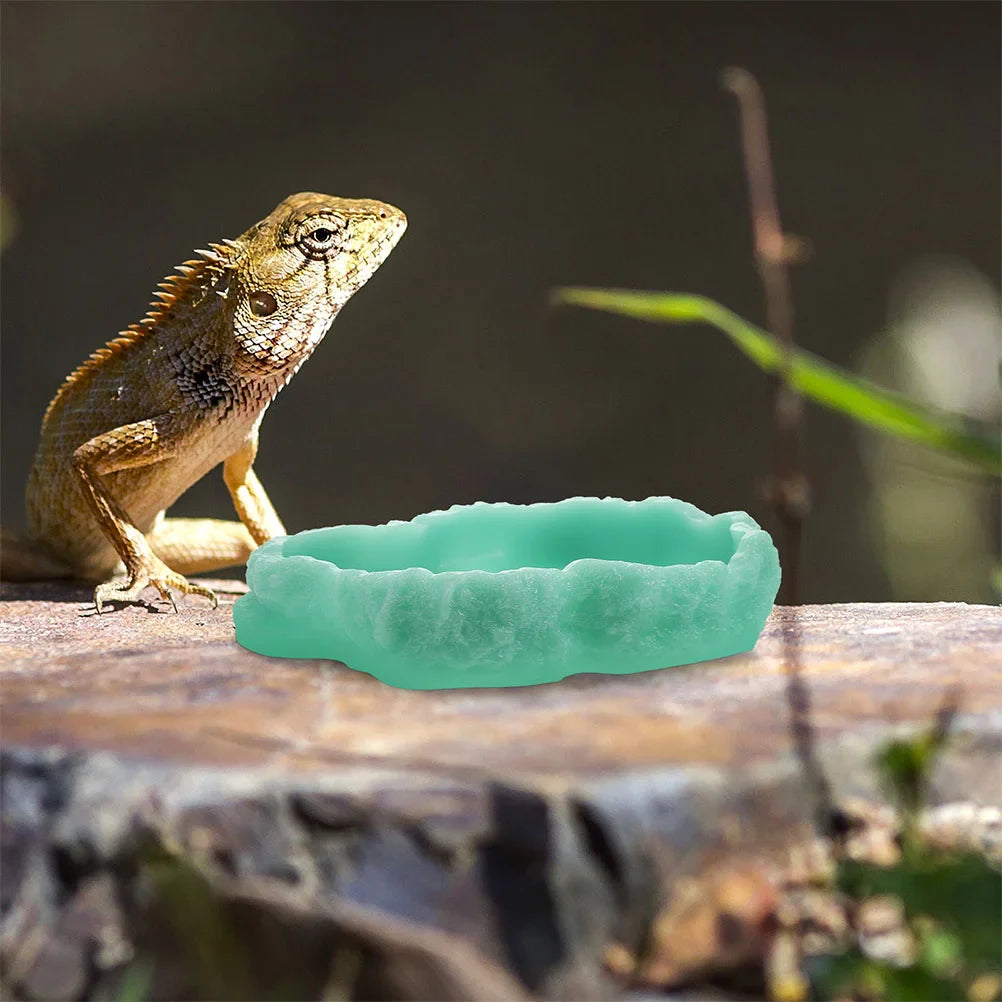 Reptile Feeding Bowl Resin Reptile Water Dish Food Bowl Reptile Food Water Dish Lizard Tortoise Pets Feeding Terrarium