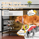 Dog Accessories Everything for Dogs Beds and Furniture Bed House Kennel Indoor Supplies Pet Products Home Garden