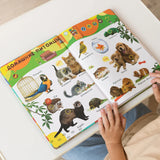 Biidi learning game for kids Montessori learning book for children intelligence educational Russian electronic book picture books