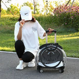 Pet Luggage Backpack Outdoor Large Capacity Breathable Portable Aviation Suitcase Folding Cats Cat Carrier