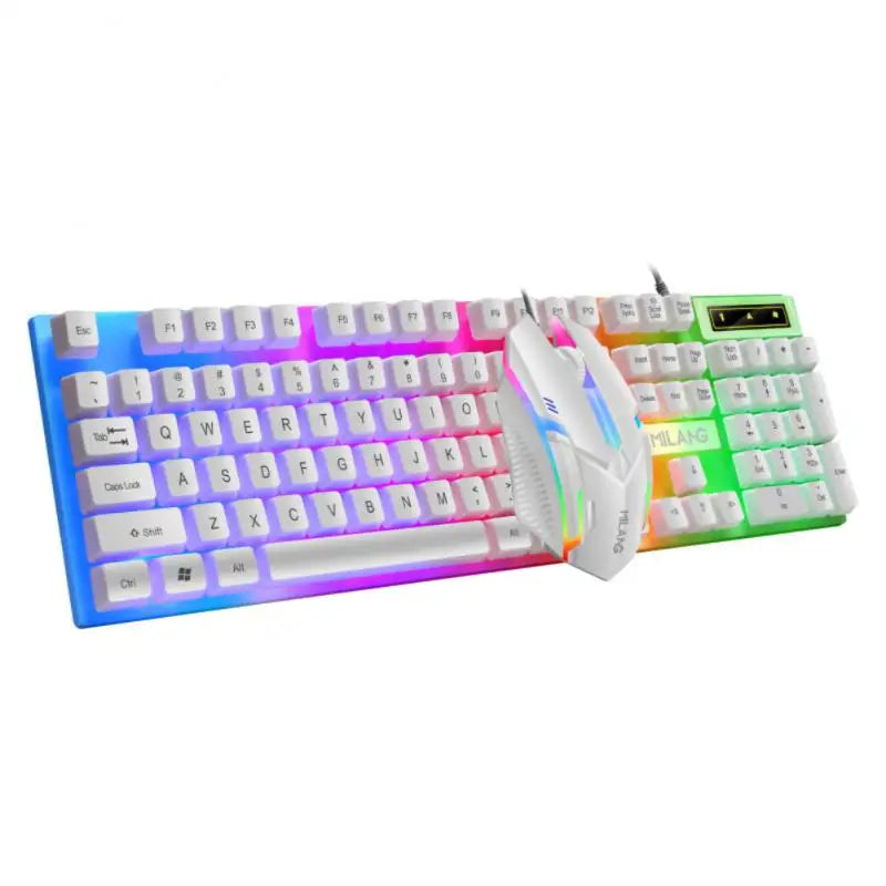 Rainbow Backlit Wired Keyboard and Mouse,Floating Keycap Strong, Wear-resistant,  Comfortable Feel Keyboard for Business Office