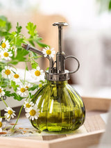 Glass Embossed Air Pressure Gardening Small Watering Can Disinfection Watering Bottle Household Glass Spray Bottle