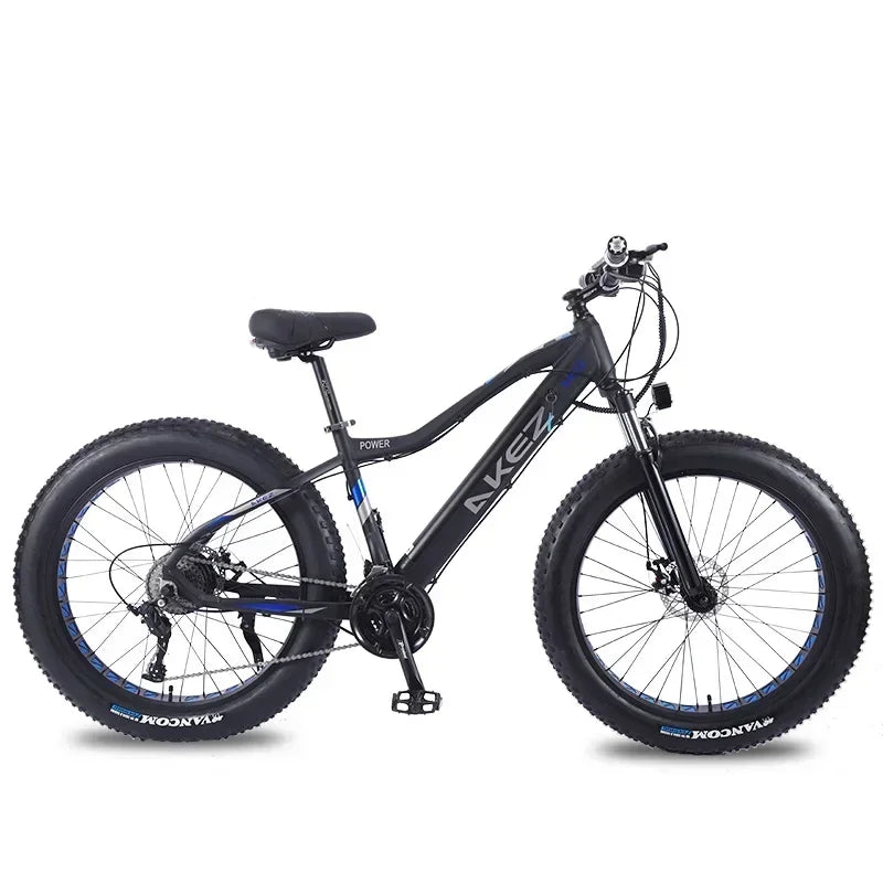 US EU UK 4.0 Fat Tire 26 Inch Electric Snow Bicycle Mountain e bike 750W Brushless Motor Cruiser Bikefor Men Electric bicycle