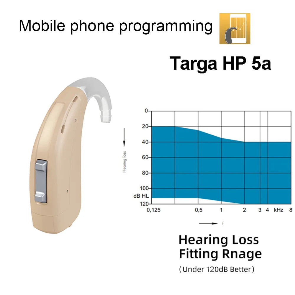 Rexton Siemens Targa 5A Mobil Programmable Original 120db Severe Deaf High Power 8-Channel Targa HP 5 Hearing Aids for Deafness