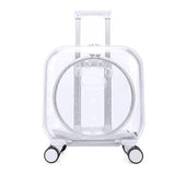 Stroller Kitten Cat Carriers Crate Backpack Transporter Cat Carriers Trolley Animal Trasportin De Gato Pets Products Dog