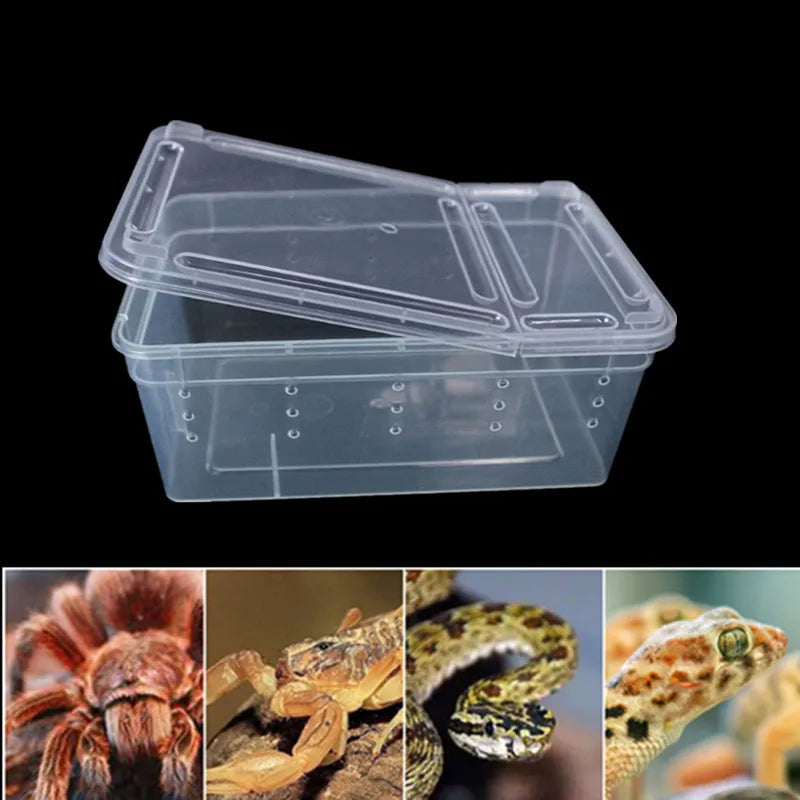 Large Terrarium Reptile Feeding Box with Bowl Lizard Spider Habitat Cage Hatching Container Clear Portable Plastic Pet House