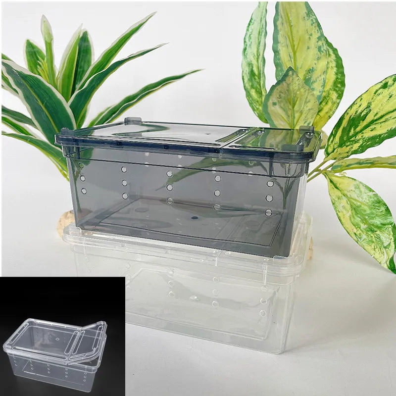 19cmx12.5cmx7.5cm Terrarium For Reptiles Spider Transparent Plastic Feeding Box Insect Food Feeding Container terrarium bowls