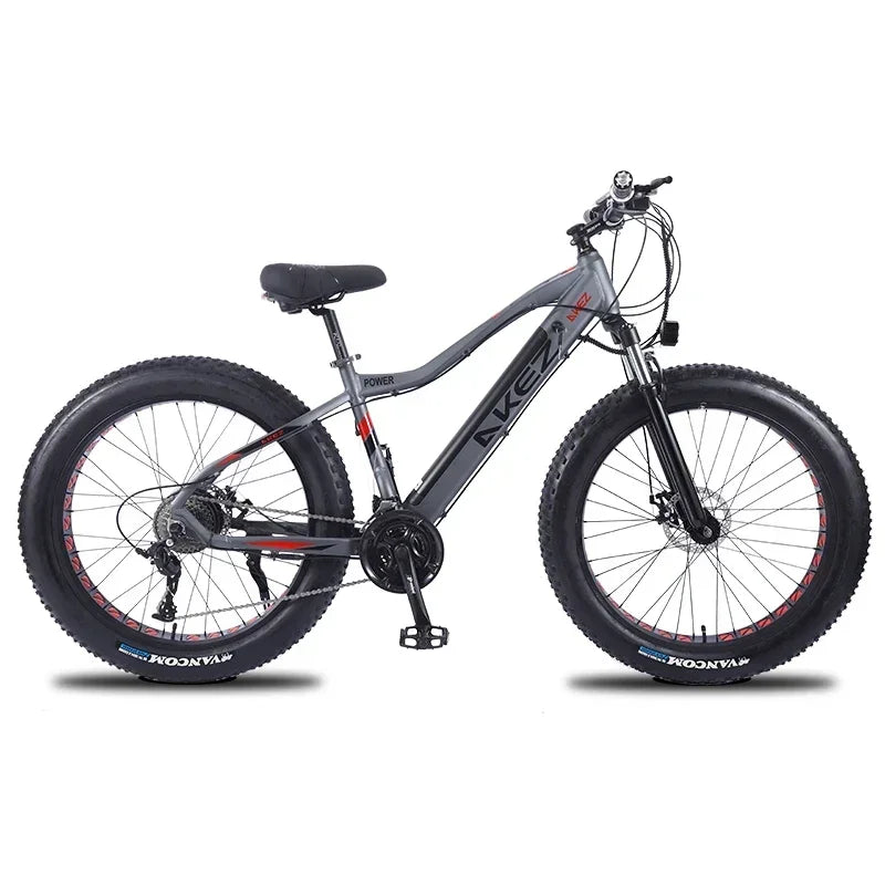 US EU UK 4.0 Fat Tire 26 Inch Electric Snow Bicycle Mountain e bike 750W Brushless Motor Cruiser Bikefor Men Electric bicycle