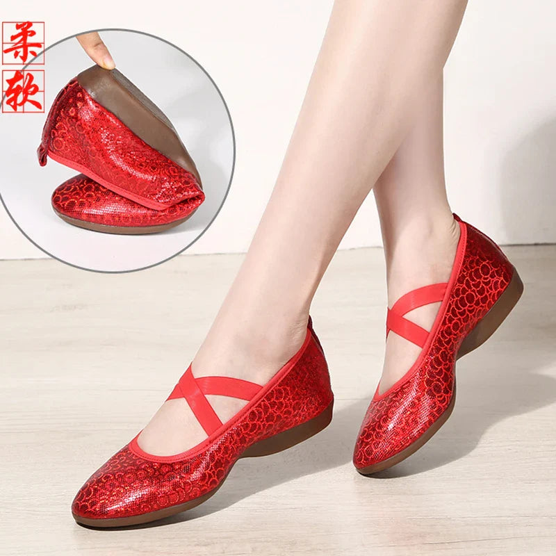 Women Dance Standard Low Heel Shoes Ladies Girls Ballroom Dance Shoes Soft Outsole Modern Dance Salsa Professional Latin Shoes