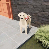 Yellow Labrador Planter AP024